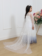 Vestidos Princesas FROZEN B1