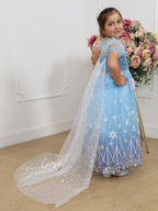 Vestidos Princesas FROZEN C1