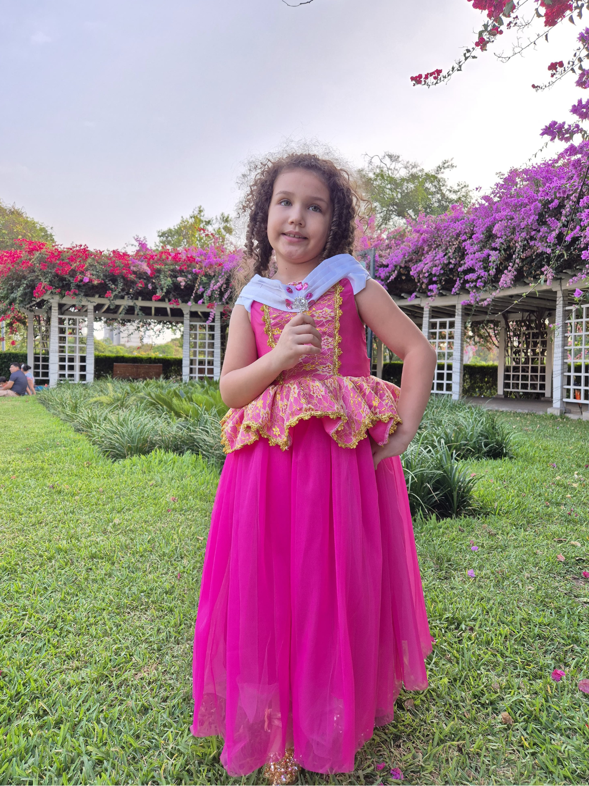 Vestidos Princesas AURORA 2