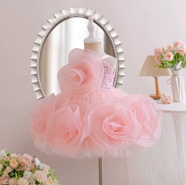 ROSA ROSA